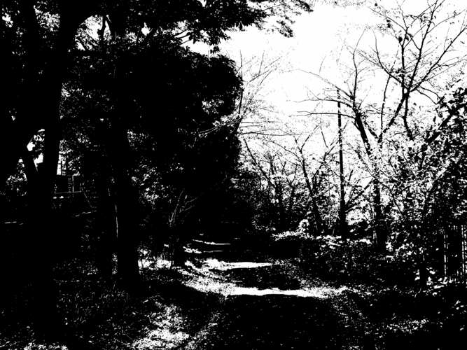 Monochrome Winding Road
