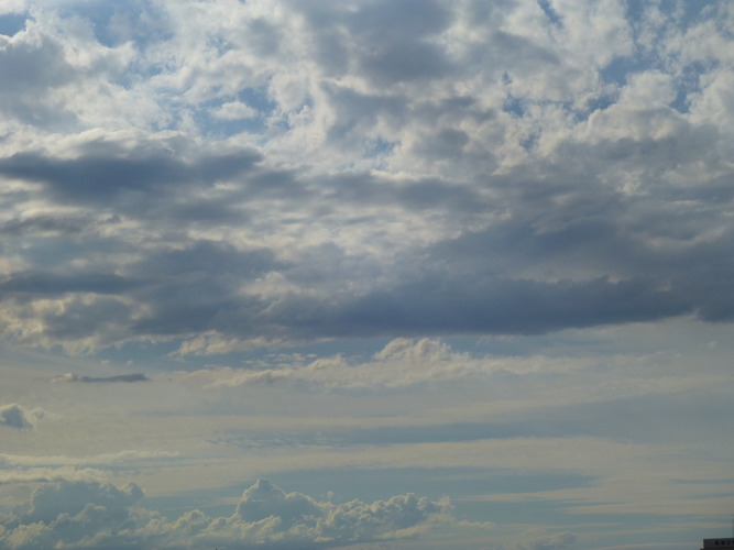 雲の海を