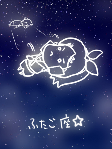 ふたご座☆