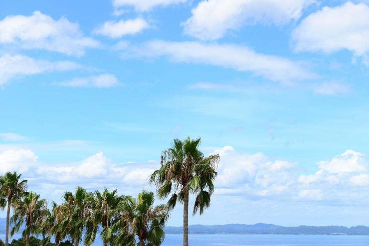 夏空