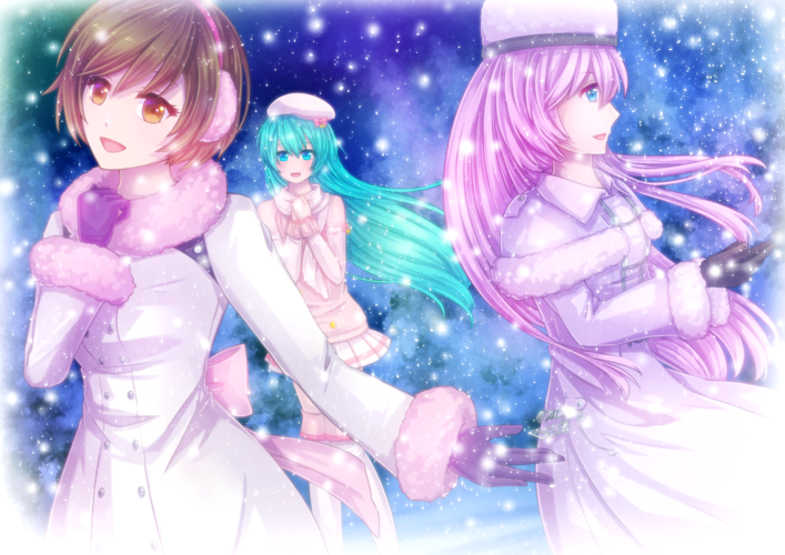 雪の降る夜に