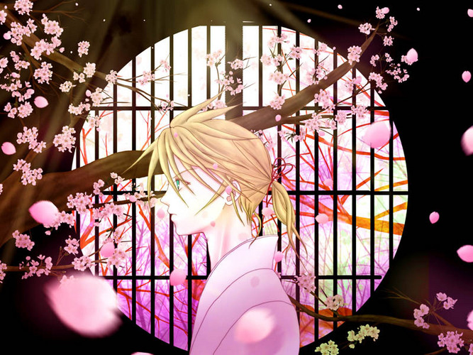 桜日和