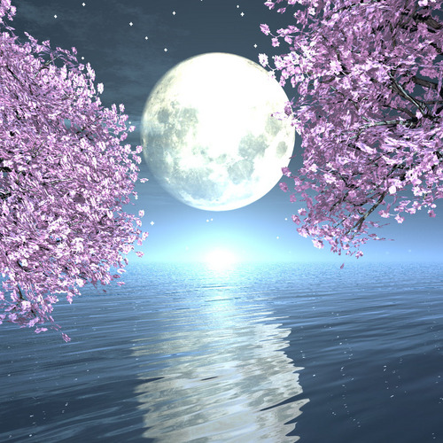 背景素材19