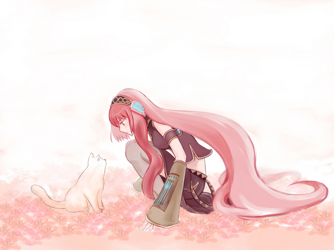 ルカとねこ