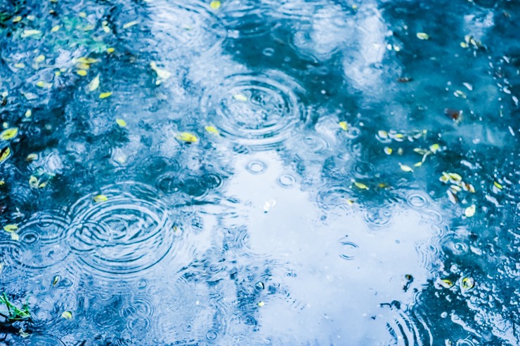 雨溜