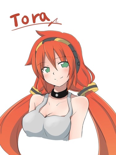 オリジナルボカロ TORA