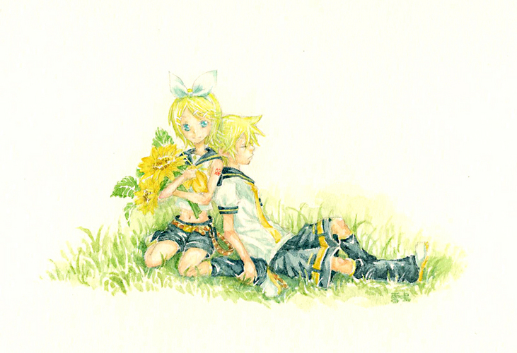 summer flower