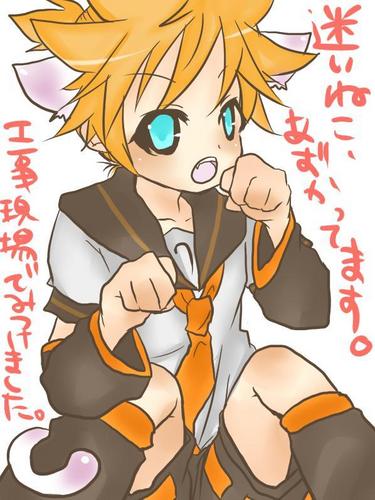 迷いぬこ