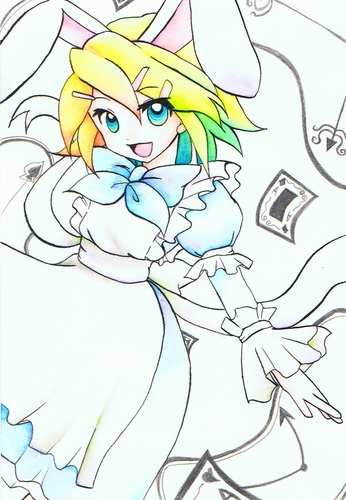 ウサアリス リンちゃん