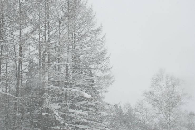 雪景色 02