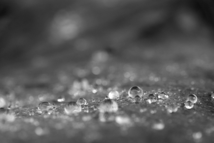 雨粒
