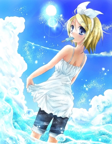 リンの夏休み