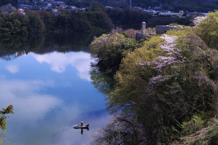 湖水の波紋