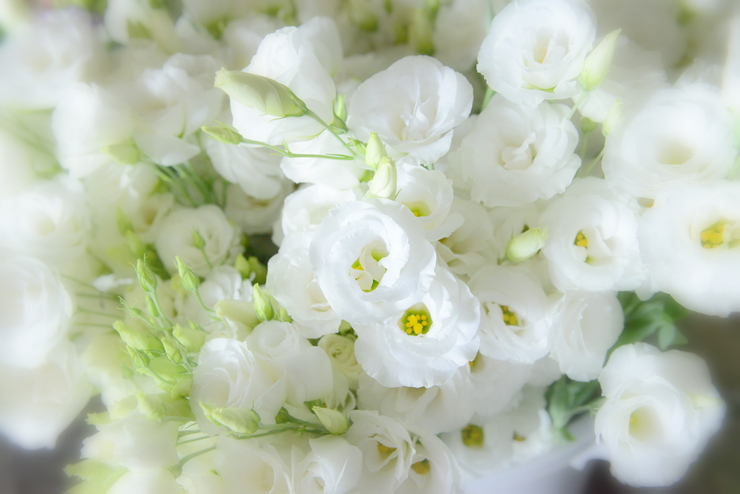 白いバラの花束