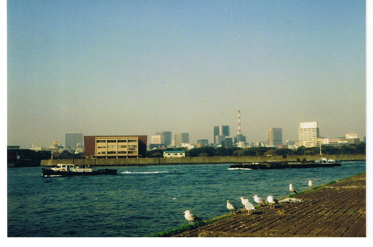 Tokyo Gull's Collection 91 Winter