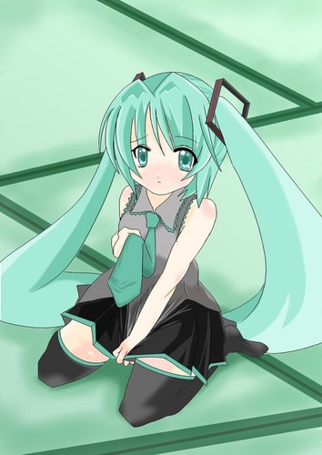 ミクと畳