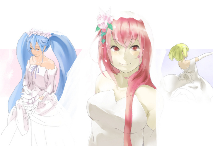 6月の花嫁