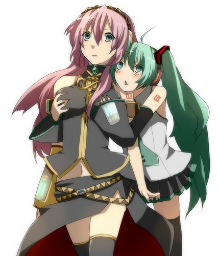 こ、これは…