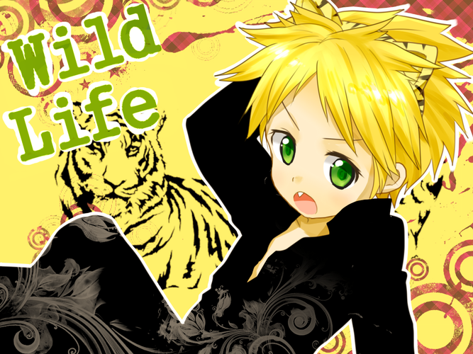 Wild Life サムネ用イラスト