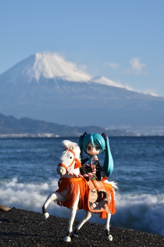 暴れん坊ミクさん