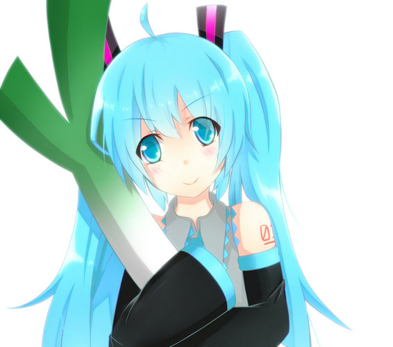 ミクとねぎ
