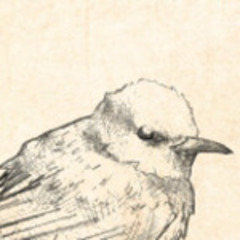 モジョンド