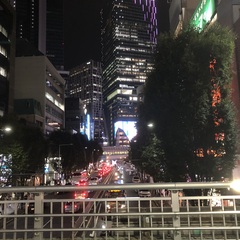 蛍光灯のその辺