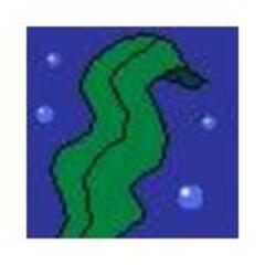 kaisouwakame