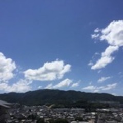 夏樹
