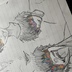 夏野ある