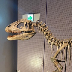 TORA