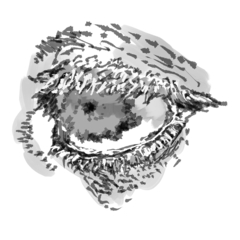 お腹激つよさむ太郎