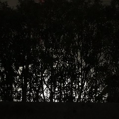 はさみ