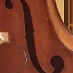NOzom