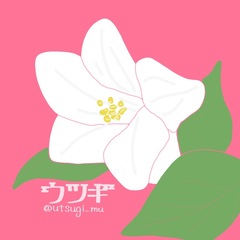 ウツギ