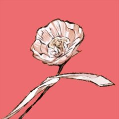 侘恵目歩 Tae Mokubu