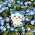 草薙
