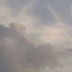 HYPOHYPO