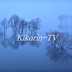Kikorin_TV