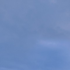 つゆむい。
