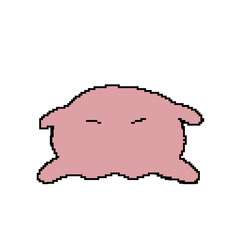 さめのぴぴ