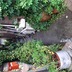 かんなぎ