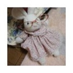 優うさぎ