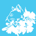 miyao-