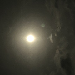 よそもの