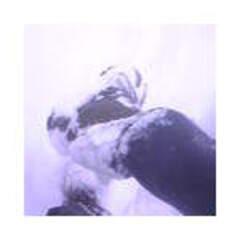 purple_snow_one