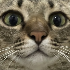 Sam