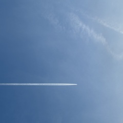 不死蝶の舞。写真とか作詞とかする。