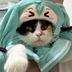鲈鲈鲈鲈鲈鱼