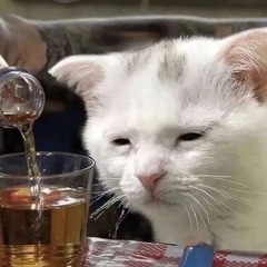 しゃっこつ